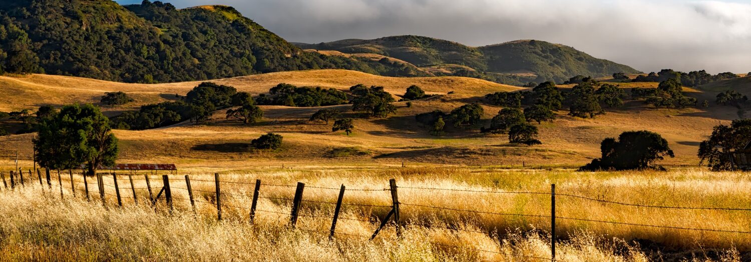 Obtaining Hunting Permission For Your Guide & Outfitting Business